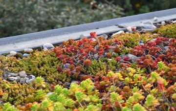the cost of Capel Iwan green roof installation