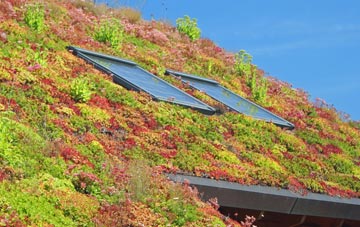 Capel Iwan living roof systems