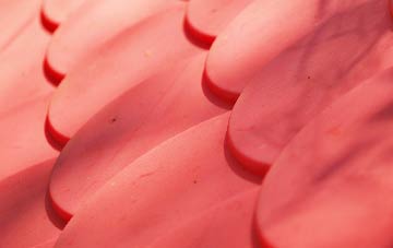 Capel Iwan plastic roof costs