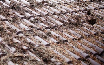 Capel Iwan roof cleaning companies