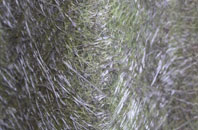 Capel Iwan fibreglass roof work